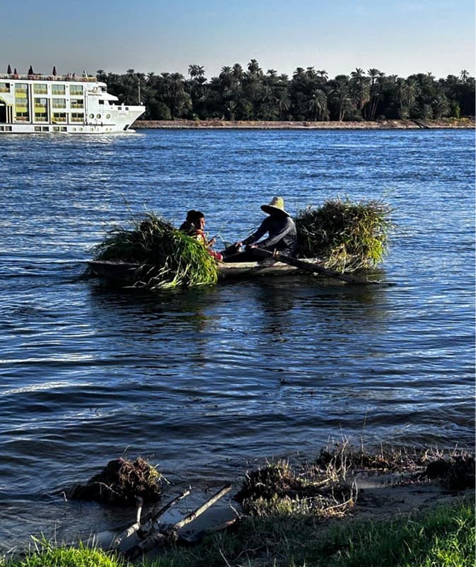 Life On The Nile